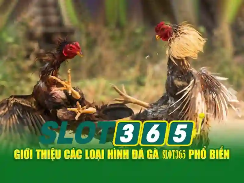 Mẹo chơi bắn cá 3 cây dễ ăn tiền nhà cái
