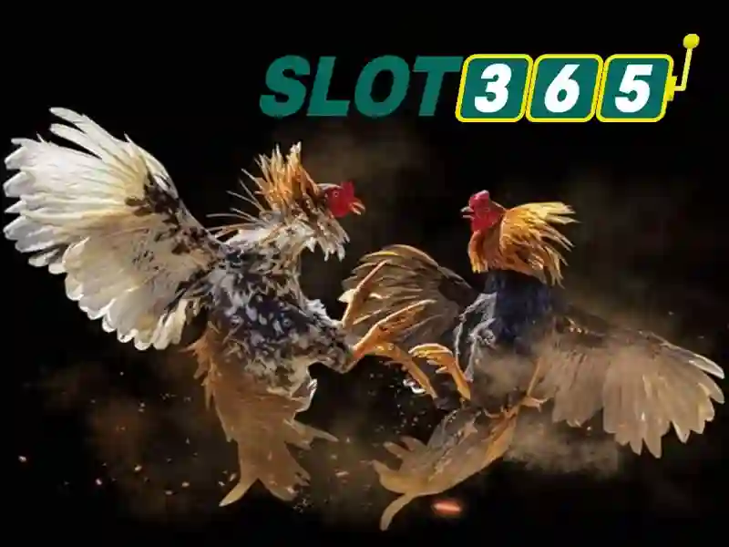 Slot365 là nền tảng chơi trò chơi trực tuyến hàng đầu Slot365 là nền tảng chơi trò chơi trực tuyến hàng đầu
