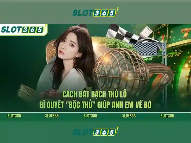 Slot365 – Nền tảng giải trí quay số trực tuyến