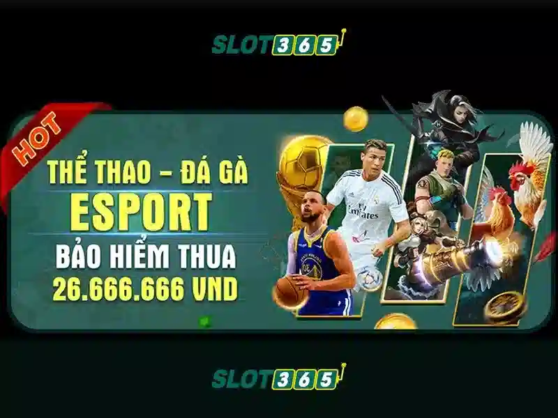 Tại sao người chơi chọn Slot365