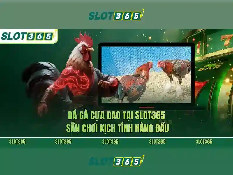 Slot365 – Đánh giá nền tảng máy xèng trực tuyến