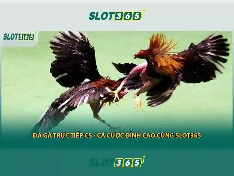 Hướng dẫn bắt đầu và cách nạp tiền
