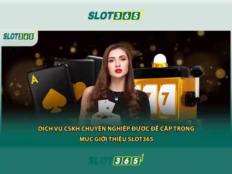 Ưu điểm và trải nghiệm người dùng
