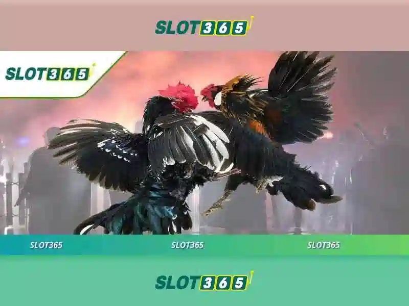 Slot365 - Trải nghiệm chơi slot trực tuyến an toàn và thú vị