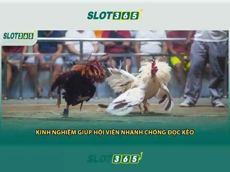 Khuyến mãi và lợi ích người chơi