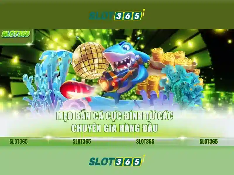 Slot365: Đánh giá và trải nghiệm người chơi
