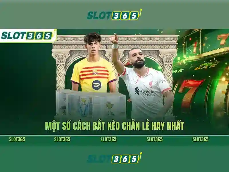 Slot365: Trang web slot hàng đầu cho người chơi Việt