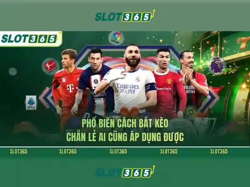 Slot365 là nền tảng cá cược trực tuyến đáng tin cậy
