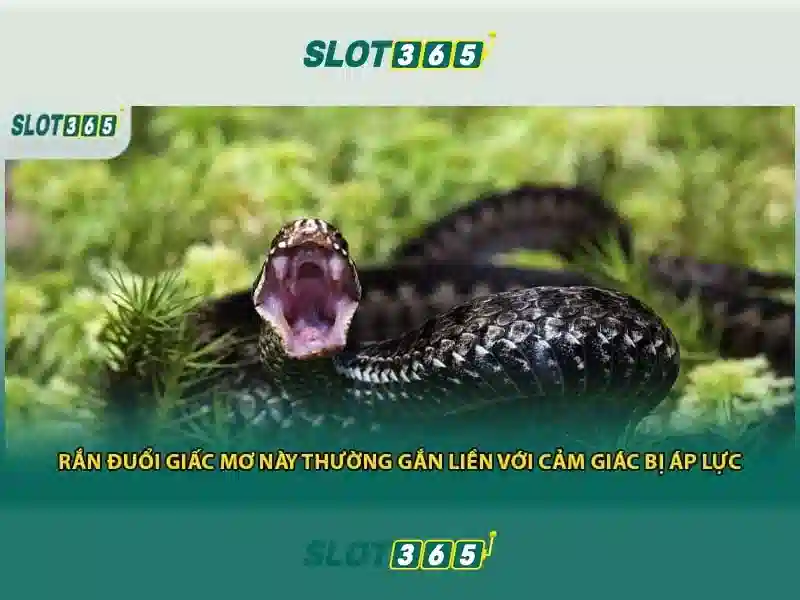 Slot365 – Các trò chơi và tùy chọn cược Slot365 – Các trò chơi và tùy chọn cược