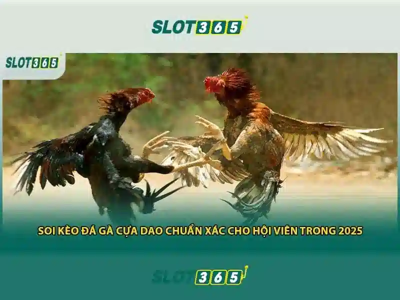 Hướng dẫn đăng ký và khuyến mãi