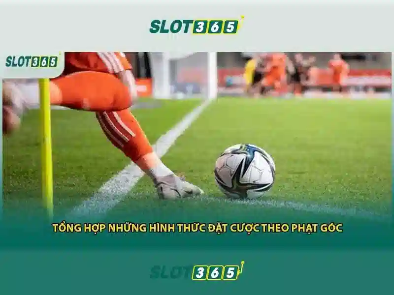 Trải nghiệm người dùng và di động
