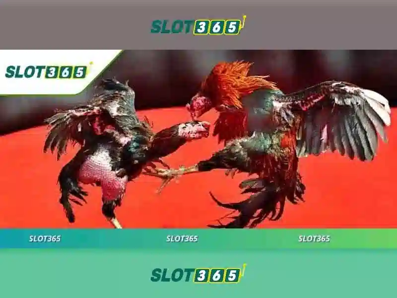 Slot365: Tổng quan về trang web chơi máy đánh bạc trực tuyến