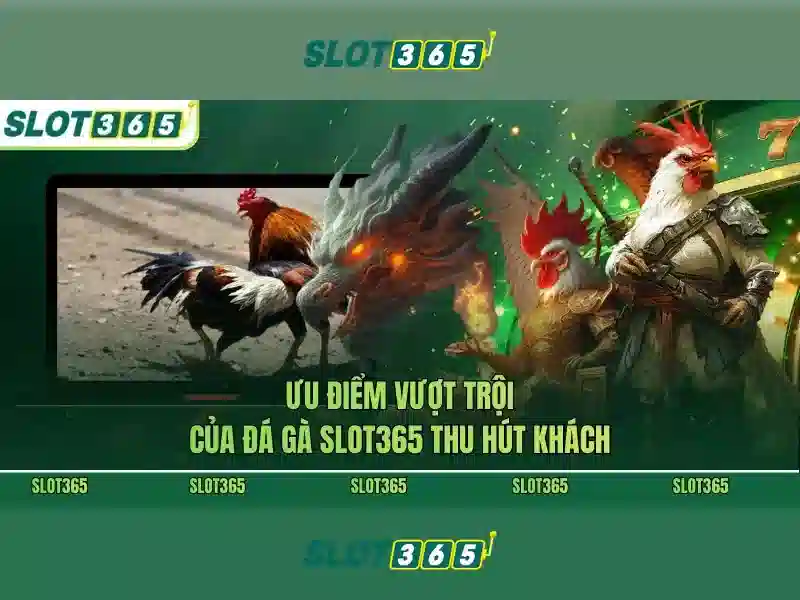 Hướng dẫn đăng ký và trải nghiệm Slot365