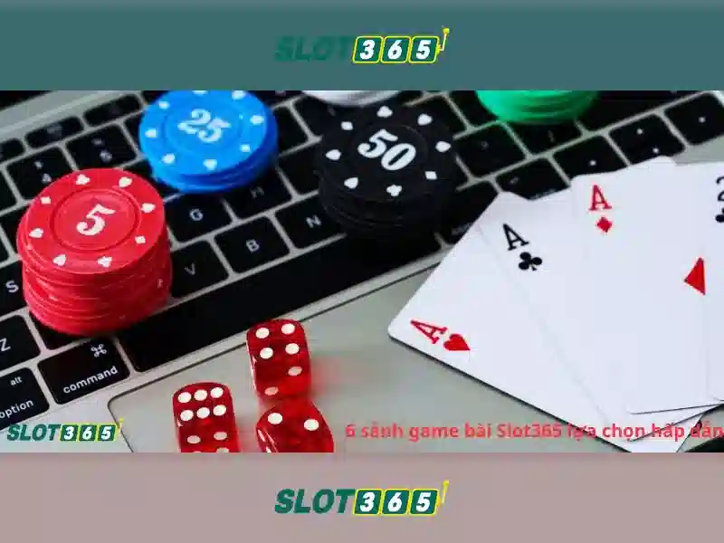 Trải nghiệm người dùng và giao diện