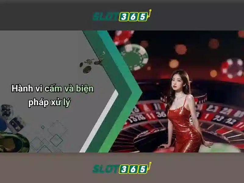 Chăm sóc khách hàng và hỗ trợ 24/7