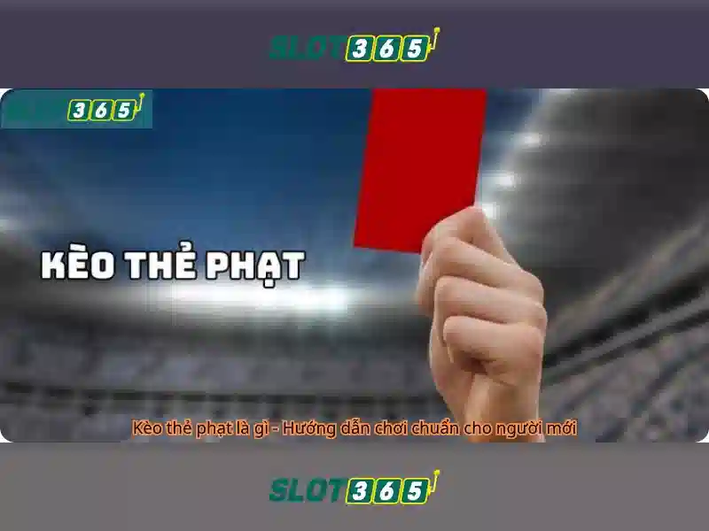 Nền tảng và trải nghiệm người dùng