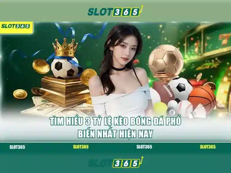 Trải nghiệm người dùng tại Slot365 Trải nghiệm người dùng tại Slot365