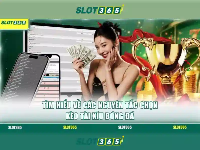 Slot365 – Tương lai và mẹo chơi Slot365 – Tương lai và mẹo chơi