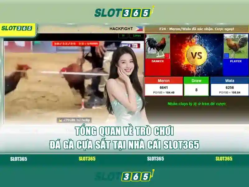 An toàn và khuyến mãi tại Slot365 An toàn và khuyến mãi tại Slot365