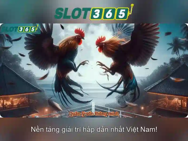 Slot365 – Nền tảng slot trực tuyến hàng đầu