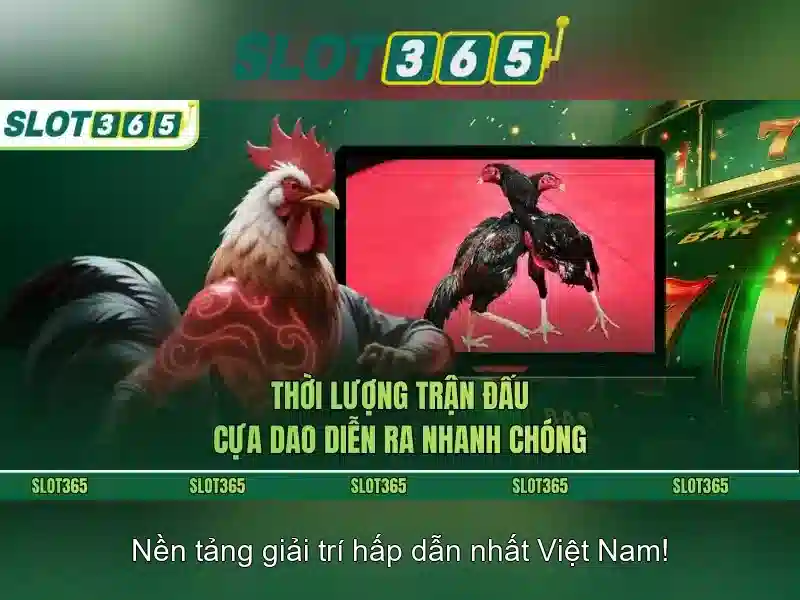 An toàn và thanh toán