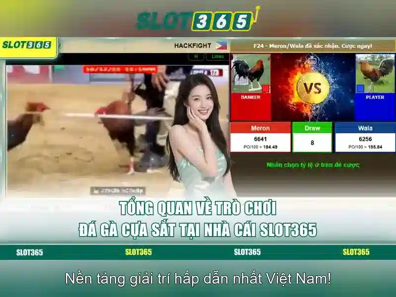 An toàn và thanh toán
