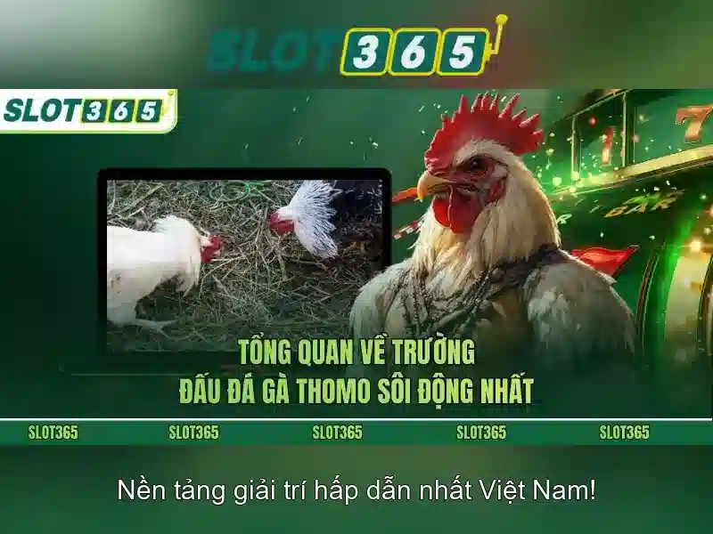 Trải nghiệm người dùng và các trò chơi đa dạng