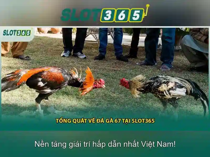 Slot365 – Nền tảng slot trực tuyến đáng tin cậy
