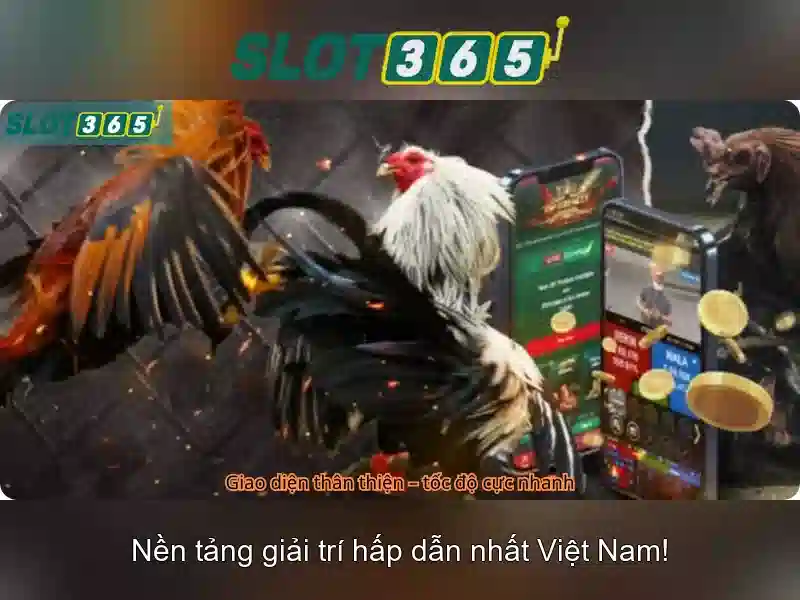 Slot365 là gì và trải nghiệm chơi slot trực tuyến nổi bật