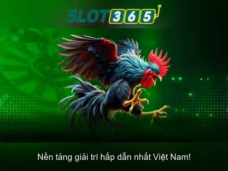 Slot365: Nền tảng chơi slot an toàn và giải trí tại Việt Nam