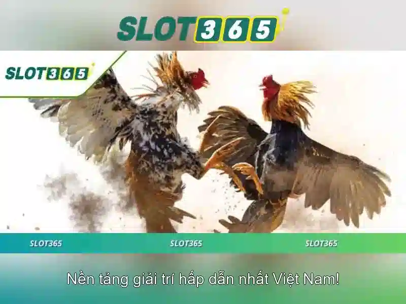Slot365 - Nền tảng trò chơi trực tuyến và cá cược