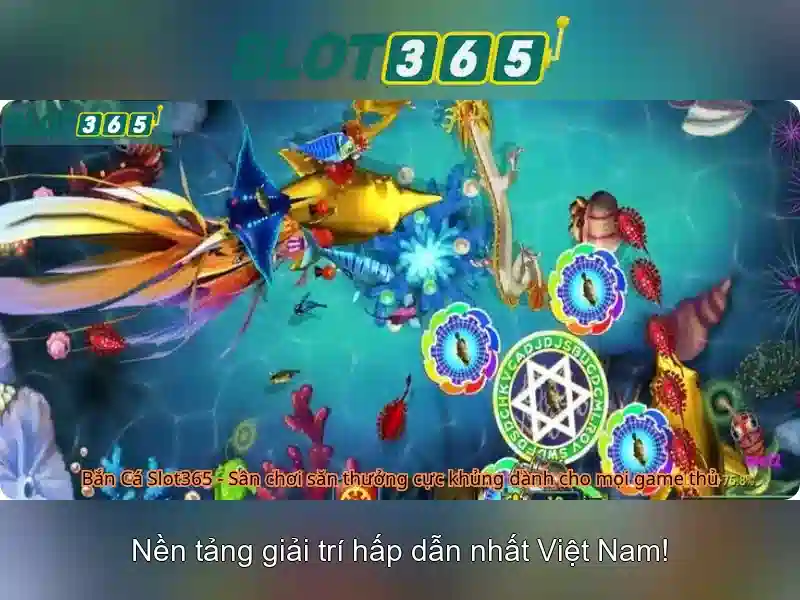 Hỗ trợ khách hàng 24/7 và ứng dụng di động