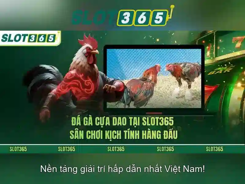 Slot365: Nền tảng slot trực tuyến an toàn và đa dạng