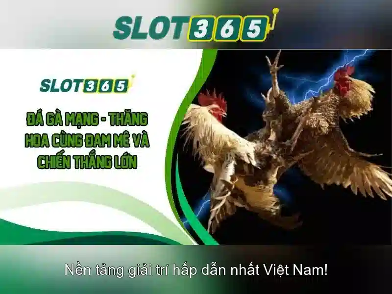 Biểu đồ thể hiện tốc độ xử lý giao dịch nhanh chóng tại Slot365
