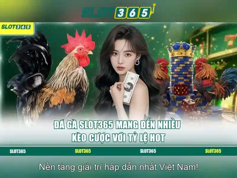 Slot365 - Cổng trò chơi slot trực tuyến đáng tin cậy