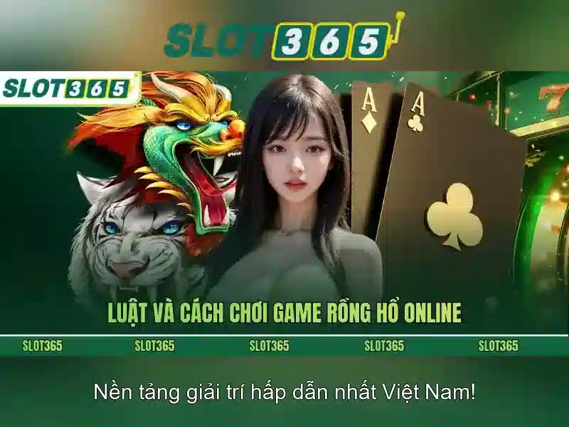 Trải nghiệm người dùng và giao diện