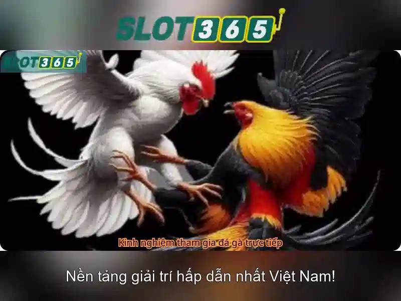 Slot365 - Nền tảng slot trực tuyến hàng đầu cho trải nghiệm chơi uy tín
