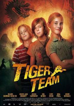 Tiger Team